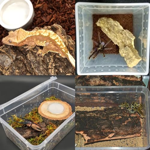 VCEPJH Reptile Bark Bedding,1 LB Natural Cork Bark for Reptiles Flat Cork Wood Terrarium Substrate Tank Supplies for Snake Spiders Bearded Dragons Hermit Crabs Geckos
