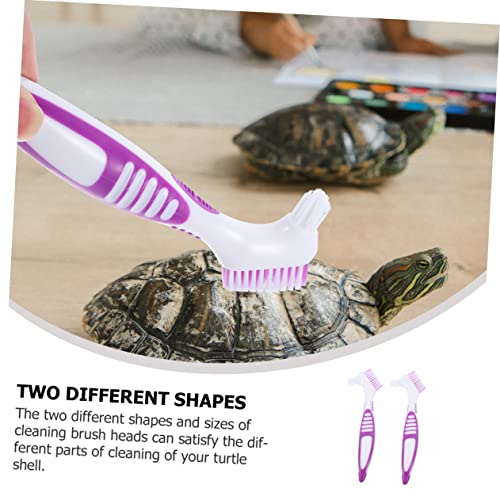 balacoo 2pcs Turtle Shell Cleaning Brush for Aquatic Turtle Double-Sided Aquarium Cleaning Tool Pet Supplies - color: Purple