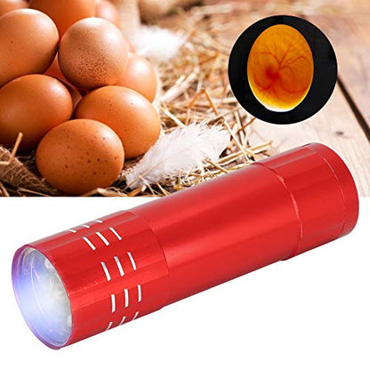 Egg Candler, Cool Light Portable Egg Candling Lamp with High Intensity Light, for Chicken, Goose, Duck, Eggs, Incubation Learning (Red)