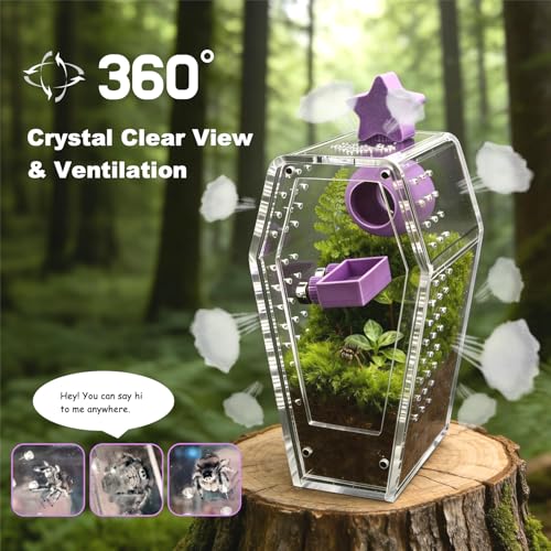 Jumping Spider Enclosure Kit, Accessories Terrarium 6PCS-Blue | Blue Water Feeder, Star Hide, Air-Permeable, Gap-Free Design, Escape-Proof for Tarantula, Beetle and Small Reptiles - color: Blue