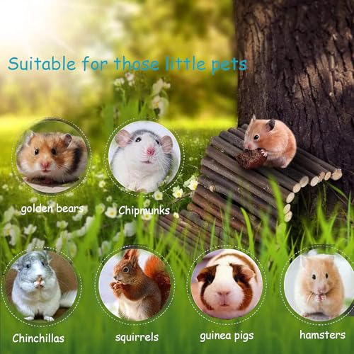 kathson 2 PCS Hamster Wooden Bridge Toys,11.02" L x 6.09" W Large Climbing Toy,Rat Ladder,Small Animal Chew Toys,Wood Hideout Tunnel for Chinchillas Guinea Pig Gerbils Ferret Syrian Hamster Squirrel - color: 2pcs