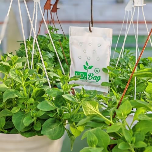 CO2BAG® XL 2-Pack - High-Capacity Natural CO2 Generator for Large Indoor Gardens & Enthusiast Greenhouses | Maximum Growth & Yield | Organic Hydroponic Supplement | Maintenance-Free (XL 2-Pack) - size: XL, 2-Pack