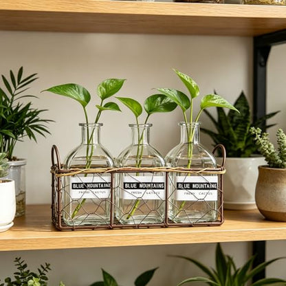 Plant Propagation Stations with Metal Stand, Willow-Woven Wire Mesh Retro Glass Planter for Hydroponic Propagating, Desktop Terrarium Flower Vase for Home Kitchen Office Decor Gifts, 3 Jars