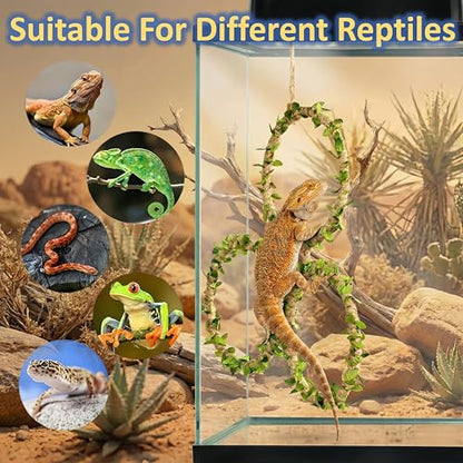 3-Tier Snake Climbing Rings for Ball Python - Natural Jungle Vine Enclosure Accessories, Reptile Habitat Decor, Hanging Enrichment Toys for Corn Snakes, Geckos, and Small Lizards