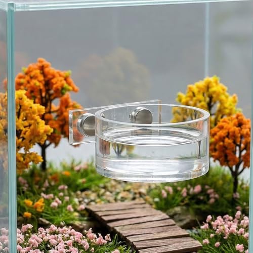 Jumping Spider Feeding Dish Set, Magnetic Water Bowl Dispenser Feeding Food Dish with Reptile Tweezers Jumping Spider Enclosure Accessories Kit for Tarantula Mantis Small Reptiles Pets
