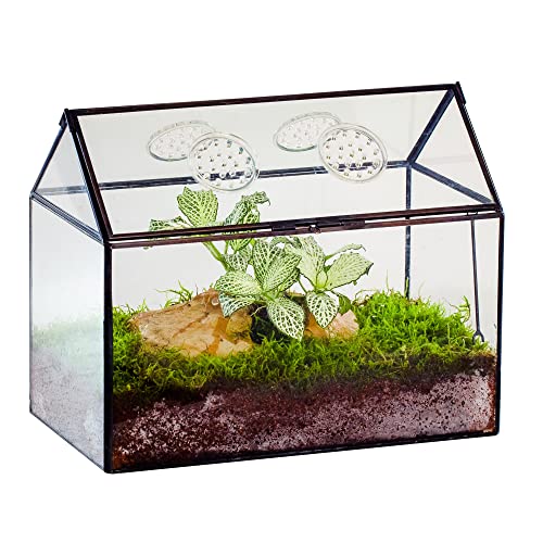 NCYP Glass Terrarium with Lid and Air Holes for Snails - 10.2" x 5.9" x 8.2" House Shape Geometric Clear Terrarium, Indoor Tabletop Decor Black (Plants Not Included)