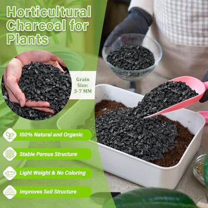 8QT All Natural Horticultural Charcoal- Activated Hardwood Plant Charcoal for Soil Amendment, Conditioning Bonsai Soil, Succulent Soil, Terrarium Supplies, Indoor Plant Potting Soil - color: 8 QT