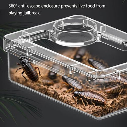 Reptile Food Dish Bearded Dragon Water Bowl | Reptile Amphibian Habitat Feeders for Leopard Cage Tank Terrarium Enclosure Frog Lizard Gecko