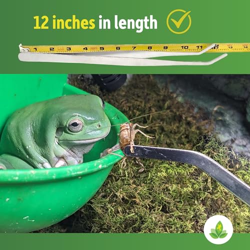 Josh's Frogs Stainless Steel Curved Reptile Feeding Tongs (12 inch)