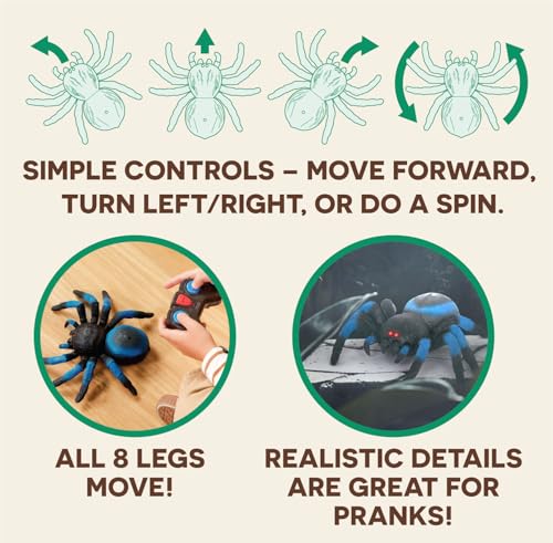 Terra by Battat Remote Control Spider, LED Eyes, 360 Spin, Blue, Animals | RC tarantula toy with moving legs, LED eyes, blue stripes, and 1 remote control for creature-inspired play, Animals, 6+ Years - style: Spider (Blue)