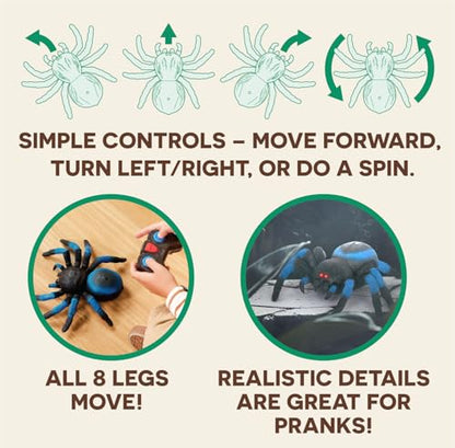 Terra by Battat Remote Control Spider, LED Eyes, 360 Spin, Blue, Animals | RC tarantula toy with moving legs, LED eyes, blue stripes, and 1 remote control for creature-inspired play, Animals, 6+ Years - style: Spider (Blue)