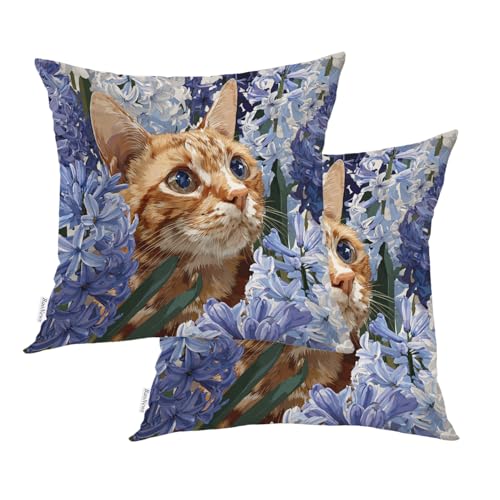 Cute Cat Hyacinth Throw Pillow Covers, Orange in Blue Flowers Cushion Cases Digital Blended Hidden Zipperl Decorative Pillow Covers Square 16X16 in 2 Pcs - color: Cute Cat Hyacinth 1 Orange08, size: 16" x 16" (Pack of 2)