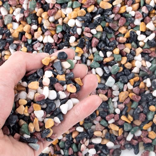 AVALUTION Aquarium Gravel for Plants -2.4lb Fish Tank Gravel for Succulent Cactus & Bonsai, 1/4Inch Decorative River Rocks Pebbles for Gardening, Flower Pots, Landscaping, Terrarium - color: Mix Gravel, size: 2.4LB
