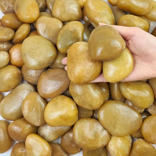 FANTIAN 5 lbs Yellow River Rocks, 2-3 Inch Large Pebbles for Indoor Plants, Decorative Rocks Stones for Landscaping, Vases, Aquariums, Fountains, Pathways, Backyard and Garden - color: Yellow, size: 5 lbs, 2-3 Inch