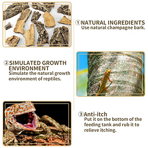 Fhiny 2 PCS Cork Bark Background, 11.6" x 7.7" Natural Reptile Terrarium Backdrop, Reptile Climbing Wall Decor for Bearded Dragon, Gecko, Chameleon, Snake