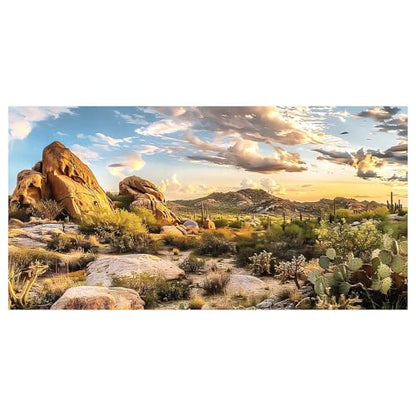 Reptile Habitat Background, Blue Sky Oasis Cactus Sun and Desert Terrarium Background with 6 EVA Double-Sided Tapes 36x18 inches/90x45 - color: Sun, size: 36"L x 18"W