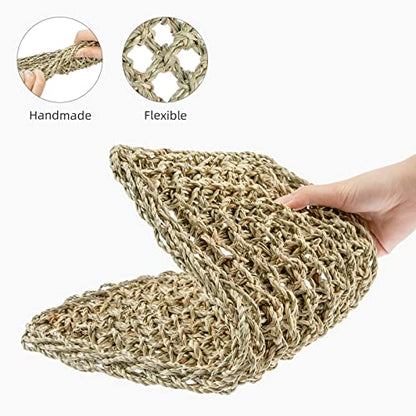 Niteangel Bearded Dragon Seagrass Hammock: Rectangle 16"x 8" & Suction Cups | Add More Climbing Space & Entertainment - Reptile Lounger for Chameleon Lizards Gecko Snakes Lguana Reptiles Tortoises - size: Rectangle 16'' x 8''
