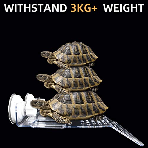 Turtle Basking Platform, Turtle Tank Platform, Aquarium Animal Transparent Sink Wharf, Reptile Habitat, Turtle Tank Dock Floating Decor with Sucker Cap