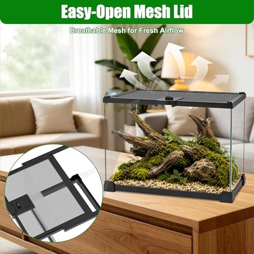 Mini Glass Reptile Enclosure Terrarium 8"x8"x6" | Top-Opening Mesh Lid with Feeding Hole, Fully Assembled Tank for Tarantulas, Isopods,Froglets & Tiny Reptiles - size: 8" x 8" x 6"