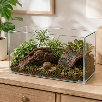 Pet Snail Hideout and Climbing Bridge Set for Terrarium Habitat Decor (Hideout) | Low-Profile Bark-Style Hideout and 17 cm Bridge for Natural Resting and Crawling Routes