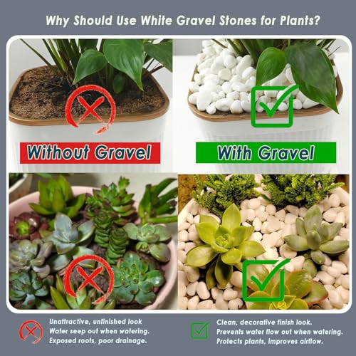 5 LB White Gravel 0.5 Inch Pebbles for Plants & Aquarium | White Gravel for Plants, Succulents, Cacti, Aquariums, Fish Tanks, Vases, Landscaping & Indoor Decorative
