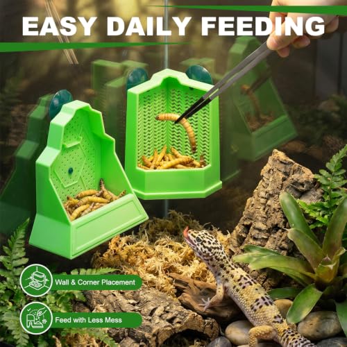 Reptile Feeder Combo Set, 2 Pack Escape-Proof Corner & Wall-Mounted Bowls with 2 Pack 10.6" Stainless Steel Straight & Curved Tongs with Rubber Tips for Bearded Dragon Gecko Lizard Frog