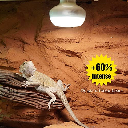 Reptile Heat Lamp, 2 Pack 75W Intense Basking Bulbs Light for Reptiles, UVA Daylight Basking Light for Bearded Dragon, Lizard, Gecko,Turtle, Reptile Heat Bulb