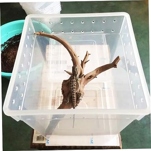 BESPORTBLE Reptile Feeding Container Transparent Breeding Box for Spider Lizard and Tree Pets Ventilated Design Lightweight Easy Assembly Secure Buckles for Safe Transport and Quarantine