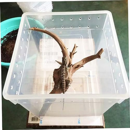 BESPORTBLE Reptile Feeding Container Transparent Breeding Box for Spider Lizard and Tree Pets Ventilated Design Lightweight Easy Assembly Secure Buckles for Safe Transport and Quarantine