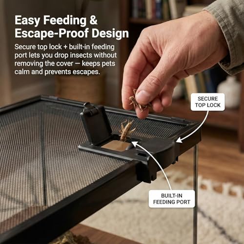 Small Glass Reptile Enclosure: 8x8x6 Full View Tarantula Enclosure | Lockable Sliding Screen Top Glass Terrarium - Insects Breeding Box Small Amphibians Cage for Leopard Gecko Hermit Crab - color: Glass, size: 8x8x6