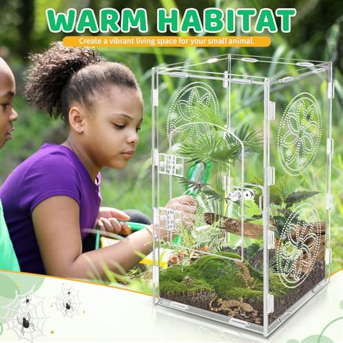 Large Jumping Spider Enclosure, 12x6x6 Inch Acrylic Tarantula Enclosure, Jumping Spider Accessories with Front Opening Door for mantises, Lizards, Frogs and Insects