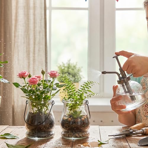 Tebery 12 Pack Wall Hanging Planter Propagation, Glass Pot Terrariums for Indoor Plants, Clear Air Plant Holder Vase for Home Office Decor