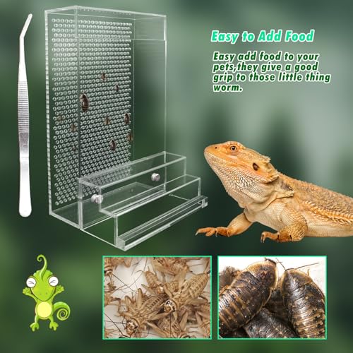Bearded Dragon Feeder, Chameleon Bug Bowl Kit with Steps, Transparent Acrylic Reptile Large Insect Box, Tank & Aquarium Accessories for Reptile Lizard Gecko Frog - 8.2 × 4.3 × 4.7 Inch
