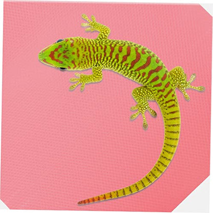 YARNOW 200m Reptile Carpet for Bearded Dragon Gecko Snake Turtle Easy Clean Non-Slip Mat for Terrarium Decor