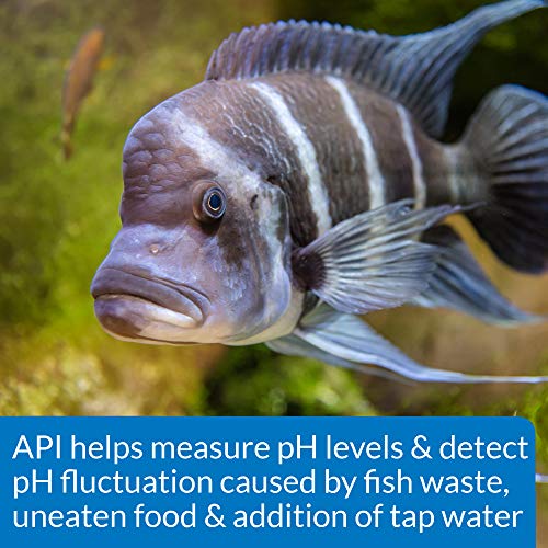 API HIGH RANGE PH TEST KIT 160-Test Freshwater and Saltwater Aquarium Water Test Kit - size: 150-watt halogen bulb, style: High Range pH