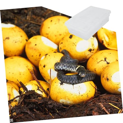 COLLBATH Hatching Reptile Breeding Box Plastic Incubation Container for Geckos Snakes and Lizards Easy to Clean and Transparent Design for Egg