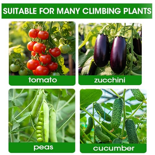 Cucumber Trellis for Plant Climbing- Cucumebr Arch Trelli for Flower Vine Vegetable Tomato Cage Raised Bed- Foldable Garden Tunnel Trellis (47x15.7in)