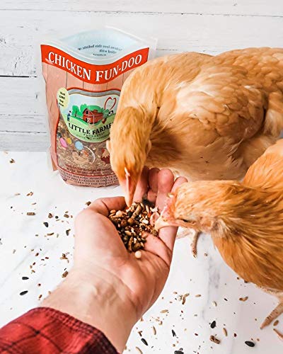 Chicken Fun-DOO Non-GMO, Soy-Free Chicken Treat | Premium Poultry Mealworm, Vegetable & Herb Mix (5 lbs)