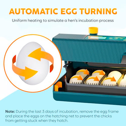 Okkobi M10 Incubator for Hatching Eggs - Ideal for All Ages - Automatic Turner and Humidity Control - Integrated Candler - 10 Eggs - Green & Yellow