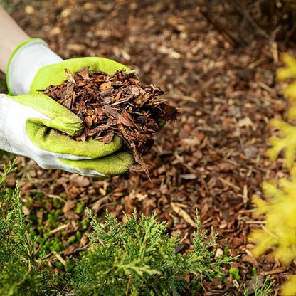 Premium Brown Wood Mulch for Landscaping, Gardens, Lawns, Potting Media, and Potted Plants (0.2 CF - 4.8 L - 5 QTS) - color: Brown Wood Mulch, size: 0.2 CF - 4.8 L - 5 QTS