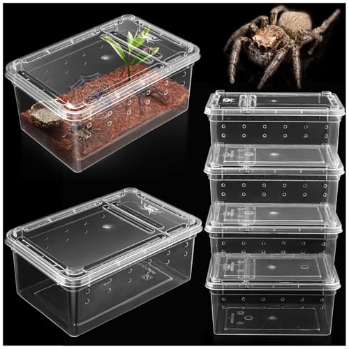 Small Jumping Spider Enclosure - 6 Pack Spider Terrariums, Breeding Box, Transparent Hatching Container, Plastic Feeding Box - 6 Pcs Super Mini