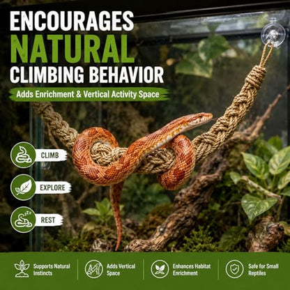 Ball Python Tank Accessories Snake Climbing Rope with Suction Cups & Hooks | Natural Beige 29-Inch Braided Rope Bridge for Climbing Resting & Habitat Decor for Corn Snakes Geckos & Lizards
