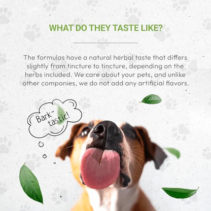 Wolf's Heart | Natural Herbal Dietary Supplement for Dogs | Healthy Heart Function Support in Dogs | Alcohol-Free Extract, Dandelion Root, Lemon Balm, Calendula, Lavender, Fennel 2 oz - style: Heart