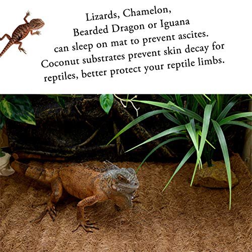 Reptile Carpet Natural Coconut Fiber, 36" x 18" Tortoise Carpet Mat for Pet Terrarium Liner, Reptile Bedding Supplies for Lizard, Snake, Chameleon, Turtle, Bearded Dragon (2 Pack) - size: 36"x18" 2pack