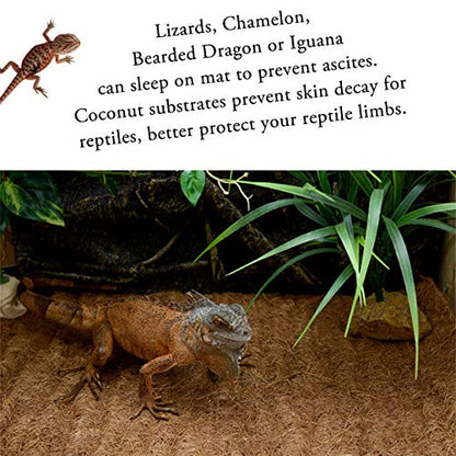 Reptile Carpet Natural Coconut Fiber, 36" x 18" Tortoise Carpet Mat for Pet Terrarium Liner, Reptile Bedding Supplies for Lizard, Snake, Chameleon, Turtle, Bearded Dragon (2 Pack) - size: 36"x18" 2pack