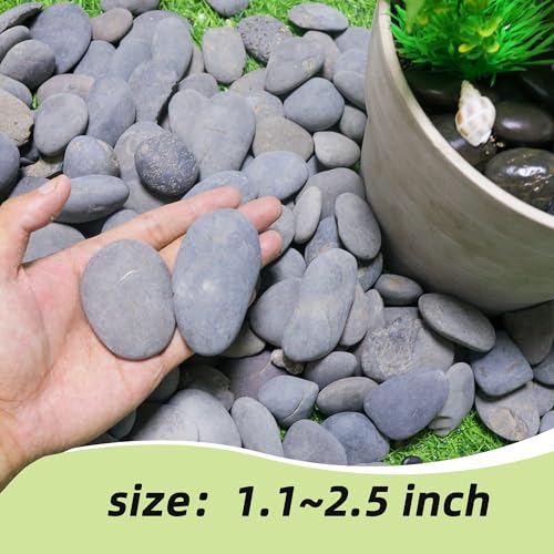 2.4LB River Rocks,Mexican Beach Pebbles for Plants,Potting,Garden Landscape Stone Paving Stone Grey 1Inch - 2Inch - size: 2.4LB, style: Large