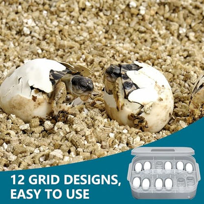Clear Incubator Transparent Floating Design 12 Grids Reusable | Snake Incubation Box 12 Grids Transparent Floating Design Reusable Clear Incubator Box Incubation for Frog Snake Lizard