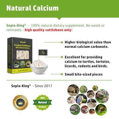 Crushed - 100% Natural Calcium Supplement - Premium Cuttlebone Perfect for Birds, Tortoises, Snails, Reptiles - 3.5 oz
