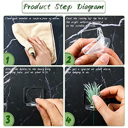 Jetec 12 Pcs Acrylic Air Plants Holder Hanger Air Plant Live Holders with Mounting Tape for Hanging Plants Glass Display Home Office Decoration