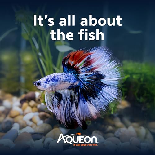 Aqueon 00800198: Aquarium Kit BettaBow Led Blk 2.5G